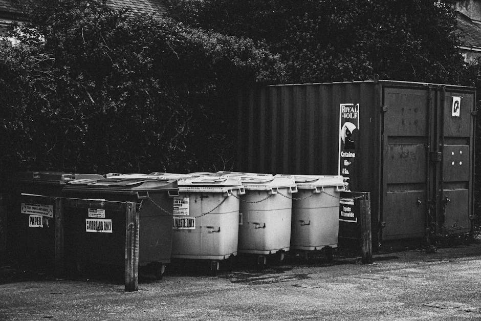 The image depicts a row of five large, plastic wheelie bins placed on a paved surface, with each bin having a different purpose label such as 'PAPER,' 'CONFRADY ONLY,' and 'WASTE ONLY.' The bins are positioned closely together, with some partly overlapping each other, and are primarily white in color with visible lids on top. To the right of the bins, a larger, dark-colored shipping container with a corrugated metal surface is situated, featuring a logo and warning signs. Behind the bins and container, dense foliage and trees create a natural backdrop, casting shadows across the scene. The overall lighting suggests an overcast or shaded environment, typical of an outdoor waste storage area. This setting, associated with independent rubbish collection services, aligns with private waste handling and on-site clearance operations managed by waste disposal companies such as Waste Disposal Bayswater, offering an alternative to local authority collection. The image emphasizes organized waste segregation through clearly labelled bins, ensuring proper disposal of different materials in a professional waste management context.